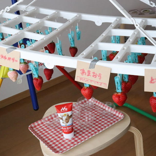 雨の休日の過ごし方🍓家でいちご狩り🍓