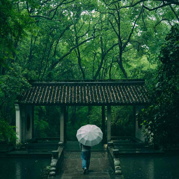 もうすぐ梅雨！スパイスで乗り切る湿気の季節