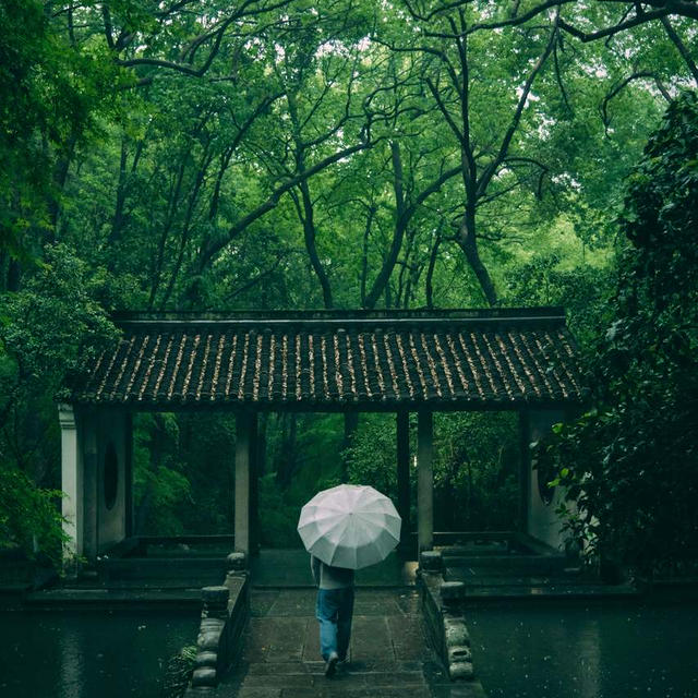 もうすぐ梅雨！スパイスで乗り切る湿気の季節