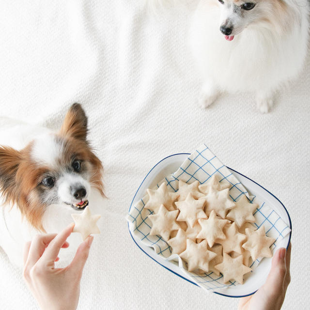 加熱OKの魚油粉末で、犬用クッキーを作ってみました