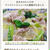 COOKPAD☆クックパッドニュース掲載＆人気検索トップ10