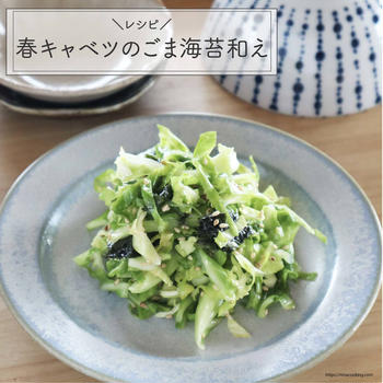【レシピ】春キャベツのごま海苔和え