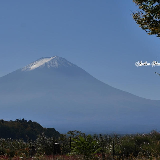 秋の富士山をみてきました