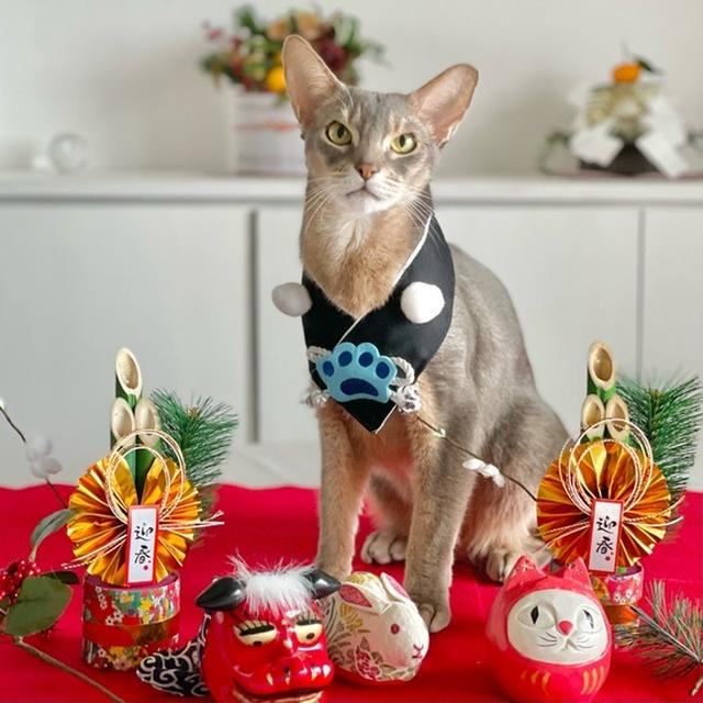 年賀写真のための撮影156枚！