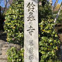 ひとつだけ願いを叶えてくれるそう　鈴虫寺