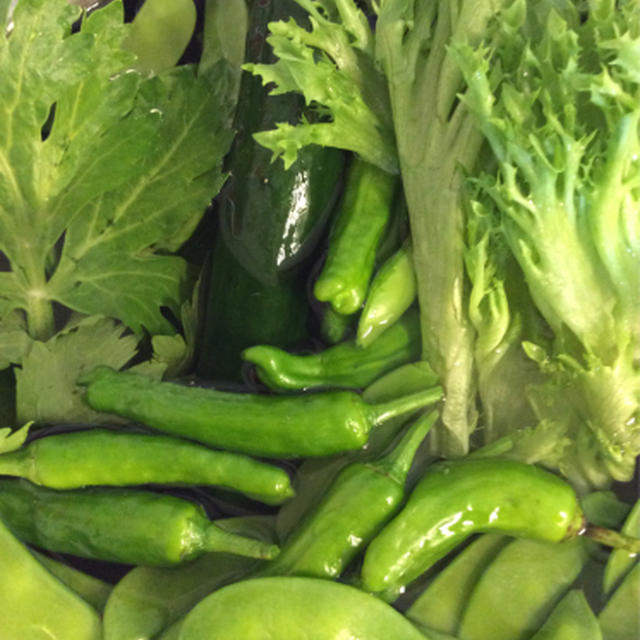 そろそろ生野菜の季節へ