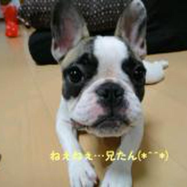 こうすけのつぶやき(^-^)v