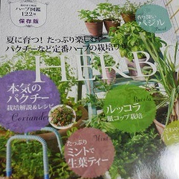 ハーブを植えたものの、使い方が分からない('Д')
