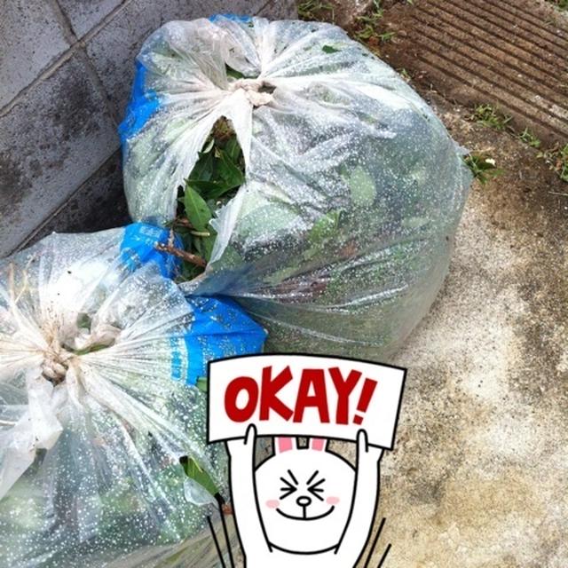 草取り終了なう