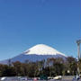富士山本宮浅間大社