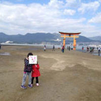 初宮島！美味し！