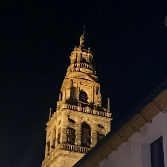 コルドバ旅行記4：夜景とマラガの大衆食堂