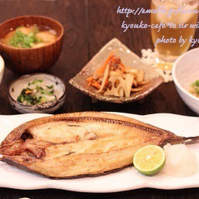 昼カフェ☆お魚ランチ・夜の動物園