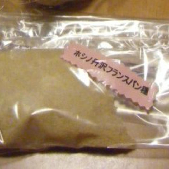 初★ホシノ酵母【丹沢】フランスパン種