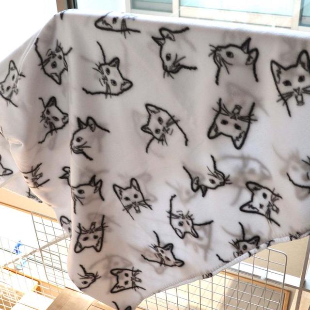 見っけ！半額クーポン！今夜から始まるSALE情報