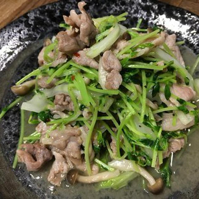 青菜のタイ風炒めを使って、豚肉と豆苗の炒め物