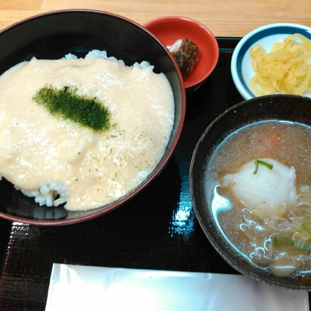 カウンターで！浅草むぎとろ