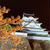 夜桜