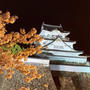 夜桜