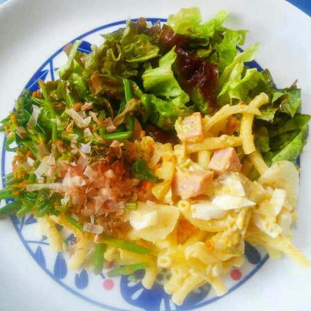 無理せず続けられる かつおぶしダイエット