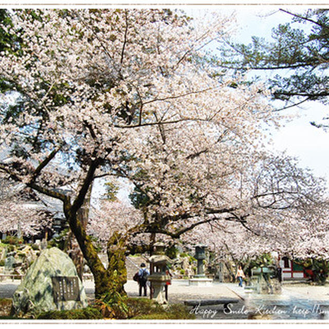 さくら～粉河寺～