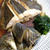 【基本のレシピ】魚の煮付け