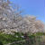 桜と建造物を楽しむ北九州１日目、長崎と雲仙