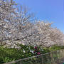 桜と建造物を楽しむ北九州１日目、長崎と雲仙