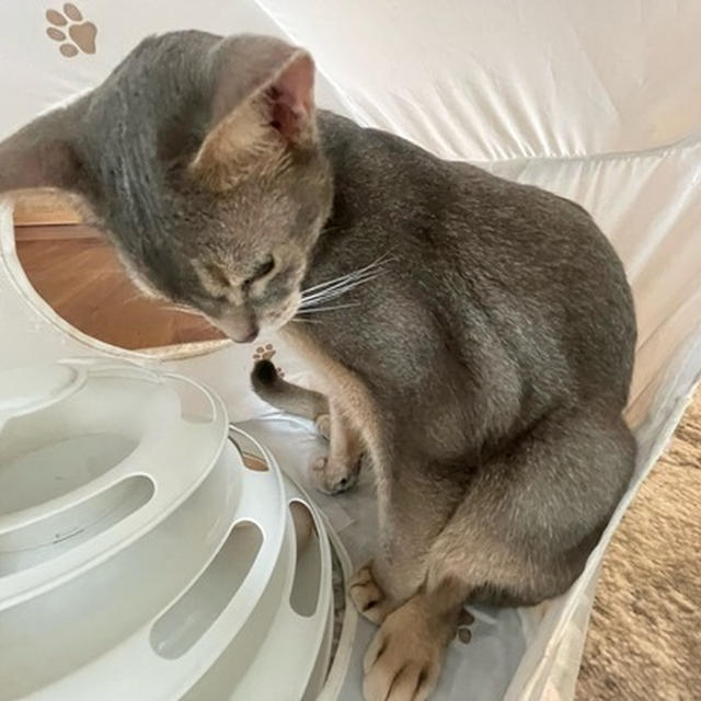 そこ、狭くない？狭いよね⁇