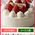 おいしっくすのクリスマスケーキ予約、まだ間に合う！