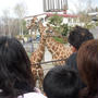 旭山動物園?。