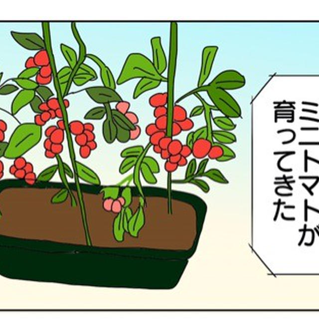 自家製トマト＆バジルでパスタ
