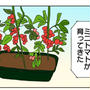 自家製トマト＆バジルでパスタ