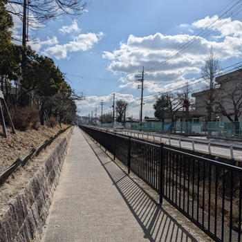 土曜日はいつも快晴気持ちいい