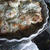 Verdure gratinate　野菜のグラティナーテ