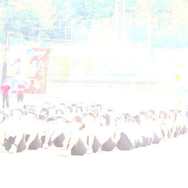 体育祭とカマキリ