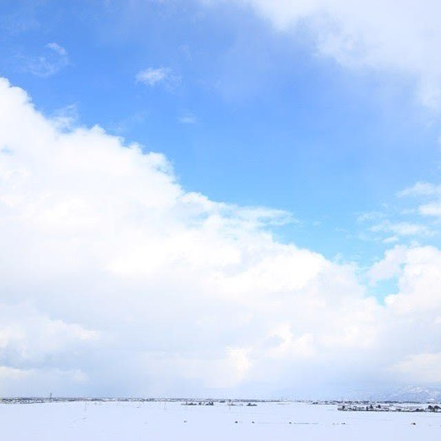 冬の青空　福島潟
