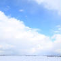 冬の青空　福島潟