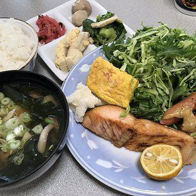弁当復活のためのプレ弁当風焼き鮭ご飯
