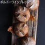 冬の酵母ぱん、失敗ない育て方のコツ