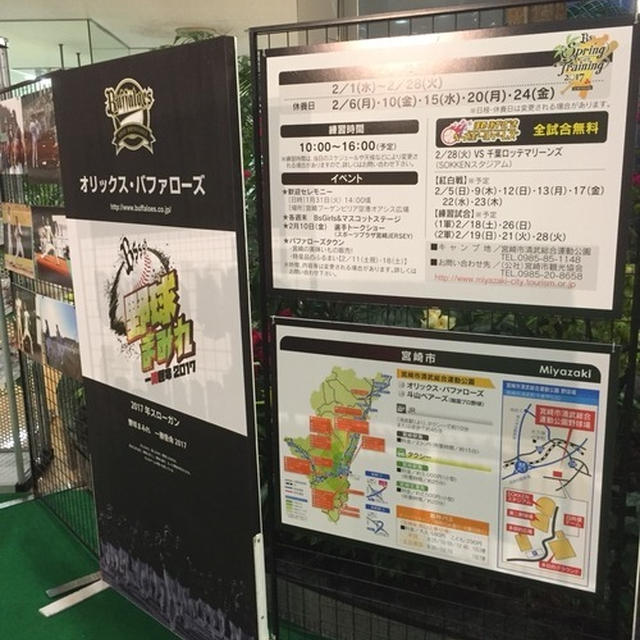 【 オリックスバッファローズファンに贈る 宮崎春季キャンプ報告！