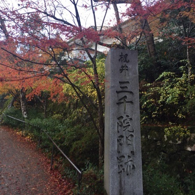 京都 三千院の紅葉はもうほぼピークでした