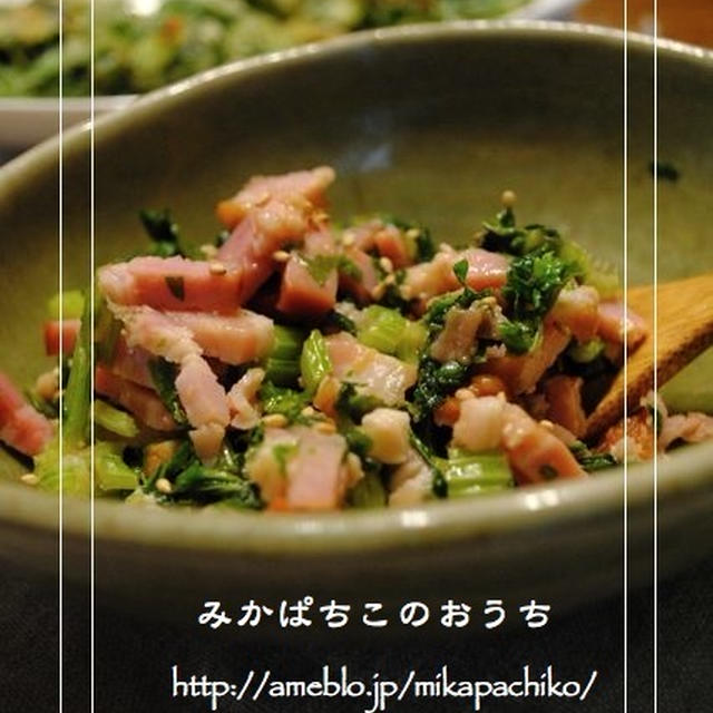 2011年…私の激リピレシピ発表！！