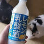 熱中症対策にもなるドリンク「サントリー食品インターナショナル グリーンダカラ　レモン&乳酸菌」