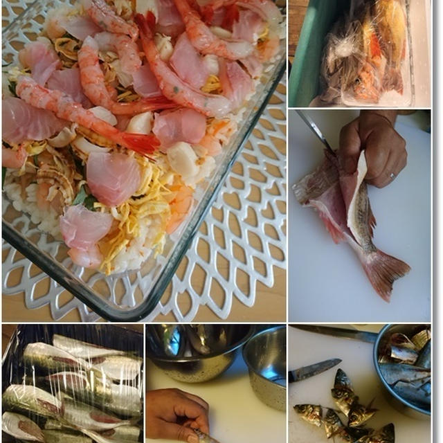 【ダンナさん食堂】市場で買った魚を美味しく調理！と王子…涙涙の水いぼ処置