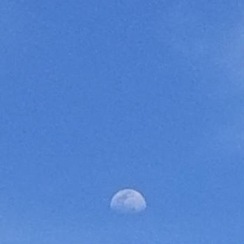 空を見上げると月