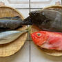 魚のお取り寄せ＿2022年2月　♪鯵で四品♪