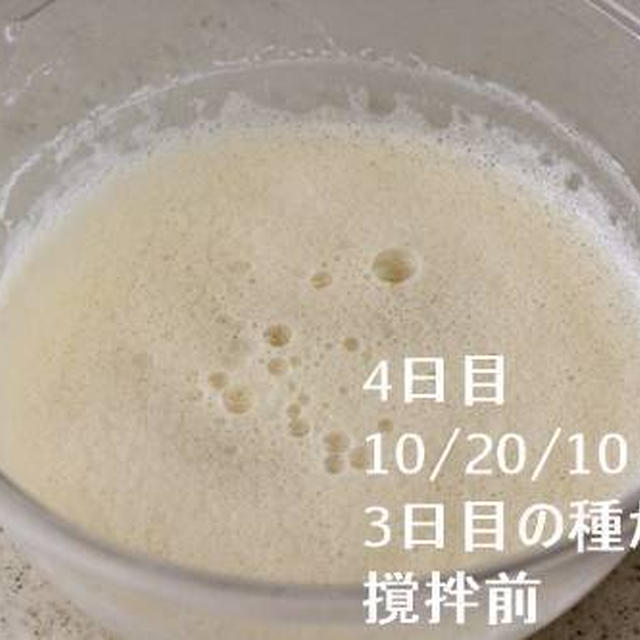 ホップ種、種起こしの記録　後編