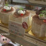 紅茶シフォンと曲げわっぱ弁当