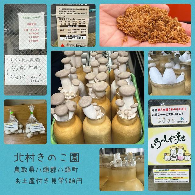 北村きのこ園　予約なしで見学OK 500円でちょっとしたお土産付き　エリンギやえのきもお得
